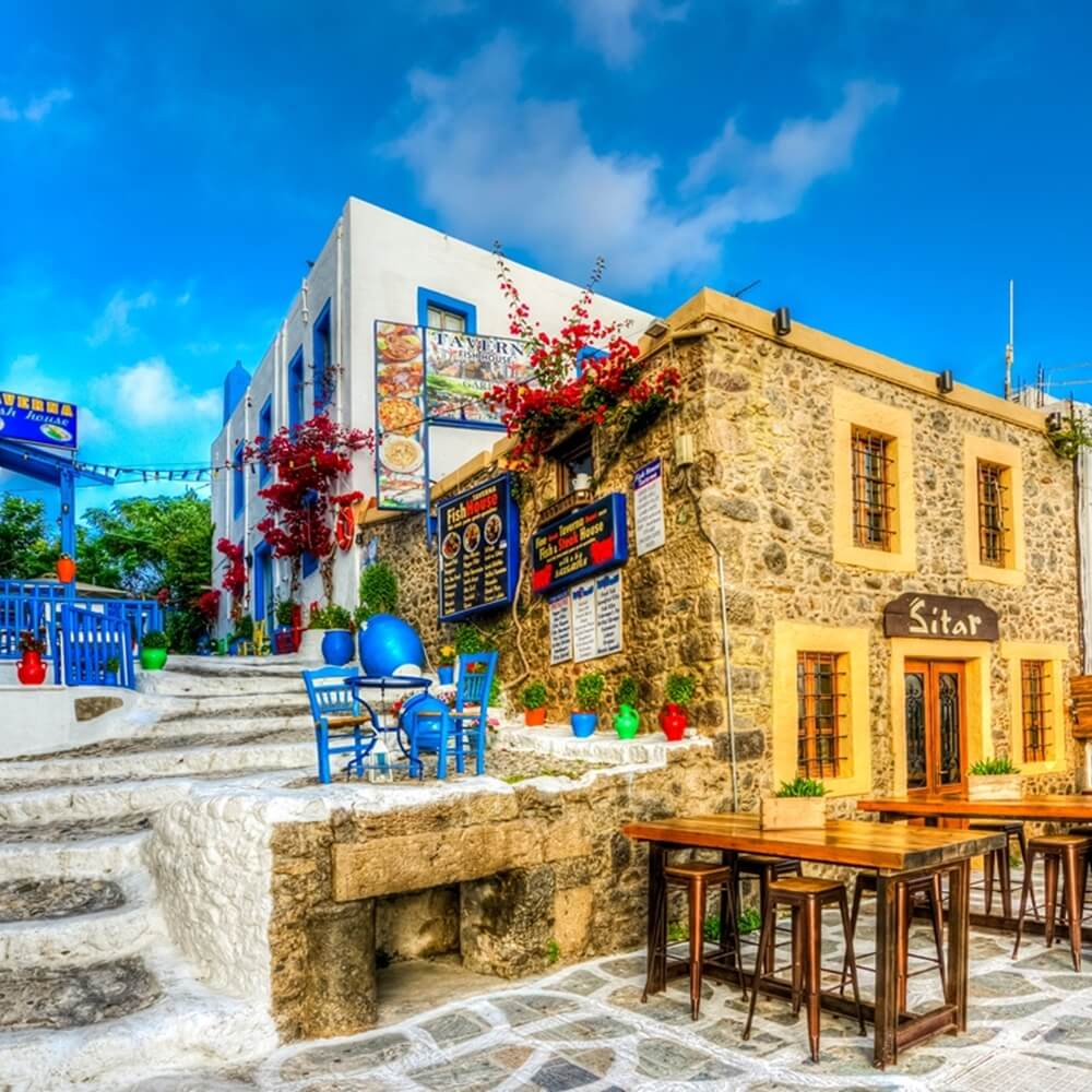 SELECTUM BLUE İLE TEK ADA KOS TURU thmb img